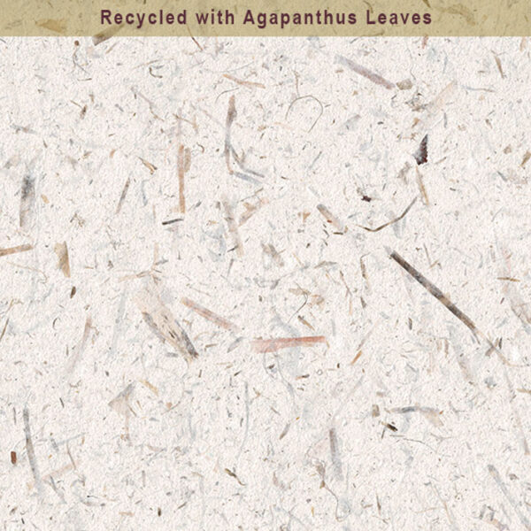 Recycled Paper with Agapanthus Leaves