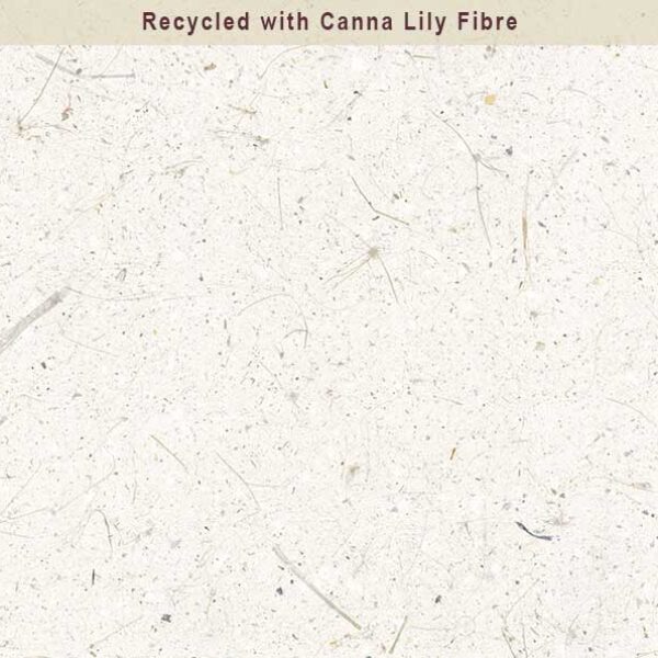 Recycled Paper with Canna Lily