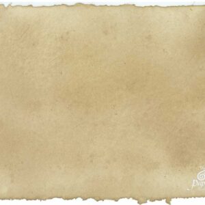 Novelty Paper