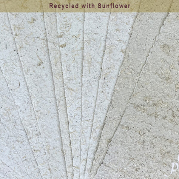 Recycled Paper with Sunflower
