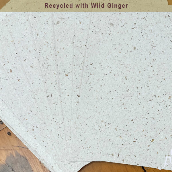 Recycled Paper with Wild Ginger