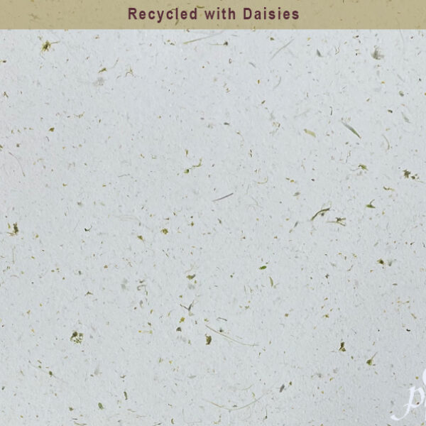Daisy Paper