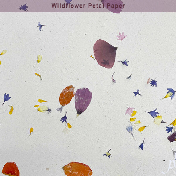 Wildflower Petal Paper