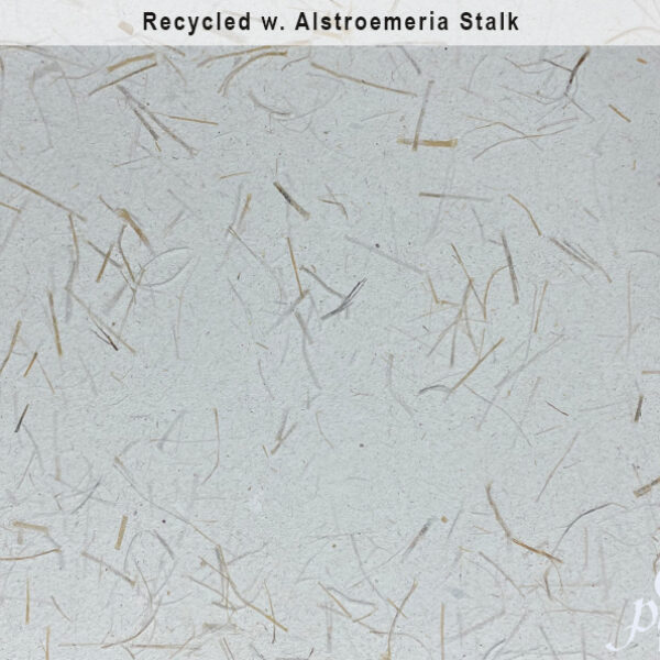 Recycled w. Alstroemeria Stalk