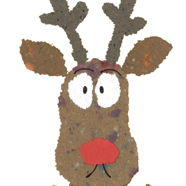 Becky's Rudolph