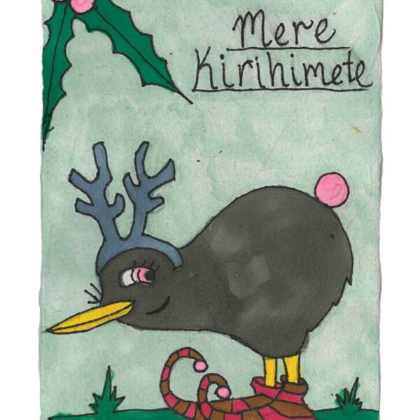 Ebonie's Christmas Kiwi