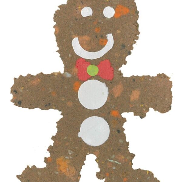 Rebecca's Gingerbread Man