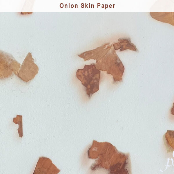 Onion Skin Paper
