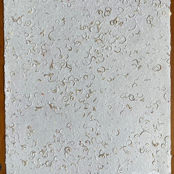 Recycled Paper With Pencil Shavings