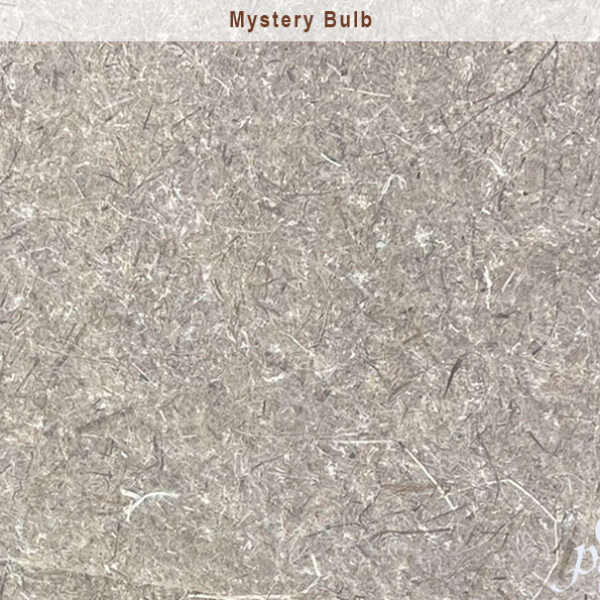 100% Mystery Bulb