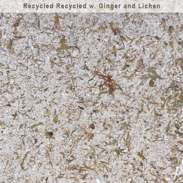 Recycled, Recycled w. Ginger and Lichen