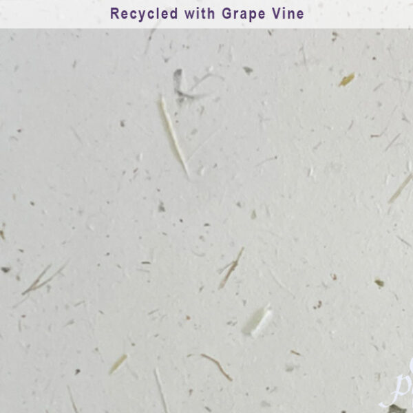 Recycled w. Grape Vine